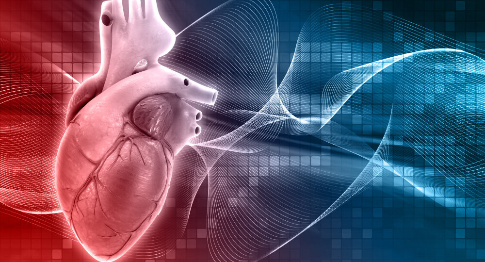 Cardiology-Services