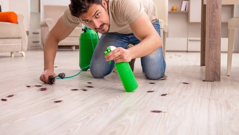 Do-it-yourself-pest-control