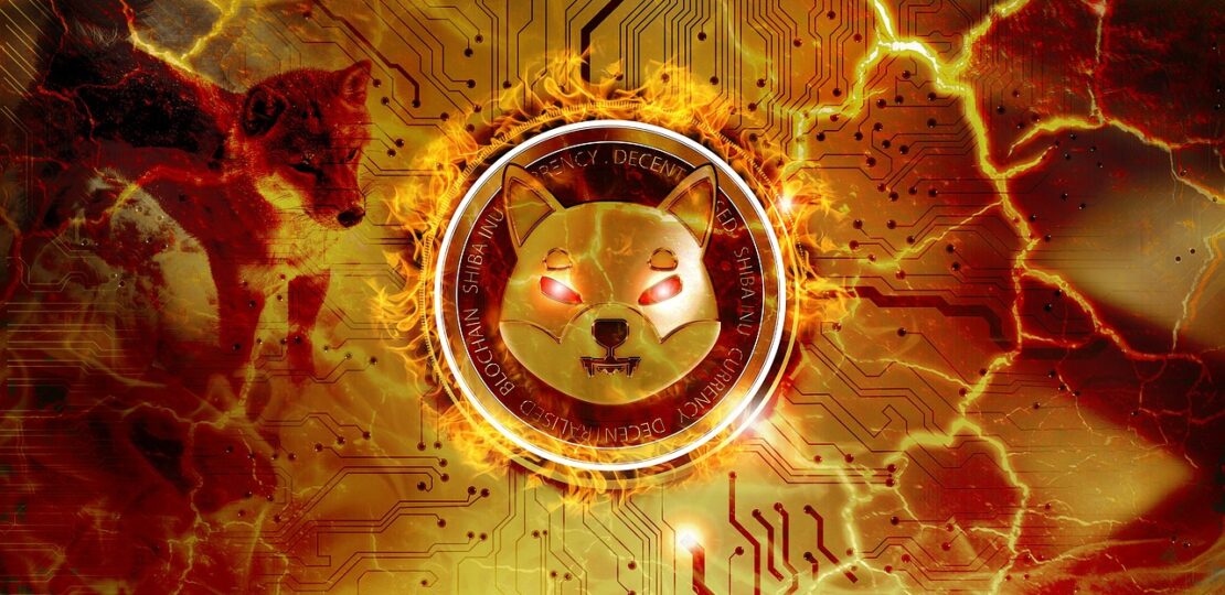 shiba-inu-coin-6766779_1280