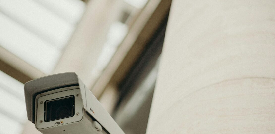 pexels-cottonbro-3205737